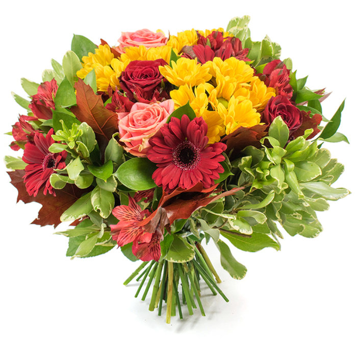 A richly textured, seasonal hand-tied bouquet set against a stark white surface so each bloom and leaf reads like a brushstroke. Dominant deep crimson gerbera daisies-with their broad petals and pronounced centres-sit confidently among clusters of intense red roses, some opening into velvet layers, others holding their buds tight, which gives the arrangement depth and rhythm. Bright yellow spray chrysanthemums are distributed generously, their compact, sunlit heads creating lively pockets of texture that offset the deeper tones. Soft coral-pink roses and blush garden roses introduce a tender counterpoint, while narrow, speckled alstroemeria in shades of red and orange add delicate, star-shaped accents that dance between larger flowers. The greenery is varied and thoughtfully placed: deep glossy leaves create a saturated base, lighter, almost variegated foliage breathes space into the mass, and a few large, bronze-tinged autumn leaves-reminiscent of oak or maple-are woven through to emphasise the fall theme. The stems converge at the bottom into a neat, tactile bundle of green stalks, a clear hand-tied signature that suggests immediacy and freshness. Bathed in soft natural light, the petals gain a gentle translucence and a hint of fragrance seems almost present. I imagine this arrangement brightening a mantel on High Street or arriving as a welcoming gift to a house near the Covered Market in Oxford-ideal for harvest-time dinners, seasonal decor, or to convey warmth and gratitude on a cool autumn day.