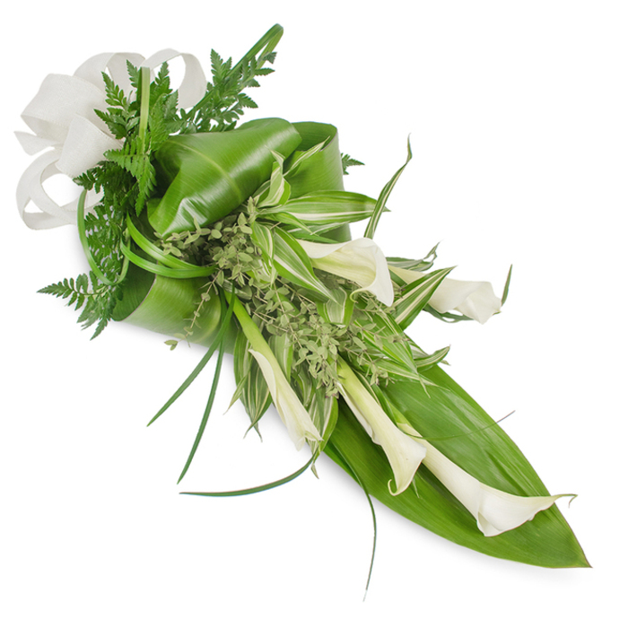 A sophisticated, elongated floral cascade of creamy white Calla Lilies and varied greenery, artfully photographed on white to showcase each shape and surface. The bouquet flows diagonally from the top-left to the bottom-right, where the lilies' trumpet-shaped blooms tilt in a soft, downward arc; some flowers are open to reveal creamy interiors while others remain in tender, closed forms. The structural backbone is made from broad, deep green tropical leaves-glossy and folded to give the piece volume and an architectural feel-while variegated foliage with white-striped patterns threads through the central plane, introducing lively contrast and a fresh, modern edge. Fern fronds add a delicate, feathery layer that softens the angles, and clusters of tiny, pale green herbaceous sprigs sit between elements like a natural filler, lending texture and an almost herbal fragrance to the composition. A few long, grass-like blades sweep outwards, their linear elegance enhancing the bouquet's sense of motion. At the upper-left, a generous off-white linen ribbon is tied into a bow, its woven texture warming the cool palette and suggesting handcrafted care. This arrangement's minimalist colour story-clean whites against a symphony of greens-makes it a refined choice for bridal bouquets, anniversary celebrations, or a tasteful sympathy tribute. Envisioned in the gentle morning light of Oxford, perhaps after a walk by the Radcliffe Camera or a visit to the Covered Market, it feels both contemporary and timeless, created with the steady, considered touch of a local florist who values form, texture and quiet beauty.