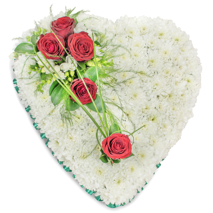 In this image, a beautifully balanced heart-shaped sympathy arrangement is presented against a stark white background, allowing every detail of the floristry to stand out clearly. The heart itself is fully massed with pristine white chrysanthemums, each small bloom nestled closely against the next to form a soft, cushion-like surface. This dense base creates a gentle, clouded effect, evoking calm reflection and purity, much like a tranquil walk along the River Thames near central Oxford on a still day. At the upper left curve of the heart, a carefully composed spray of three rich red roses provides a striking contrast to the white. The roses are at perfect, velvety openness, and are interwoven with tiny white filler flowers and varied greenery, including broad, glossy leaves and finer, feathery foliage that adds texture and visual depth. From this focal spray, slim, bright green blades of decorative grass sweep elegantly across the chrysanthemums, drawing the eye toward two more red roses positioned lower and to the right, creating a graceful diagonal movement through the design. The entire outline of the heart is edged with a deep green satin ribbon, pleated neatly to give a tailored, finished frame that holds the form together. The overall arrangement feels dignified and heartfelt, the kind of floral tribute that might be chosen for a funeral or memorial service in and around Oxford to honour a cherished life with sincerity and tenderness. It speaks softly of love that endures, even in farewell.