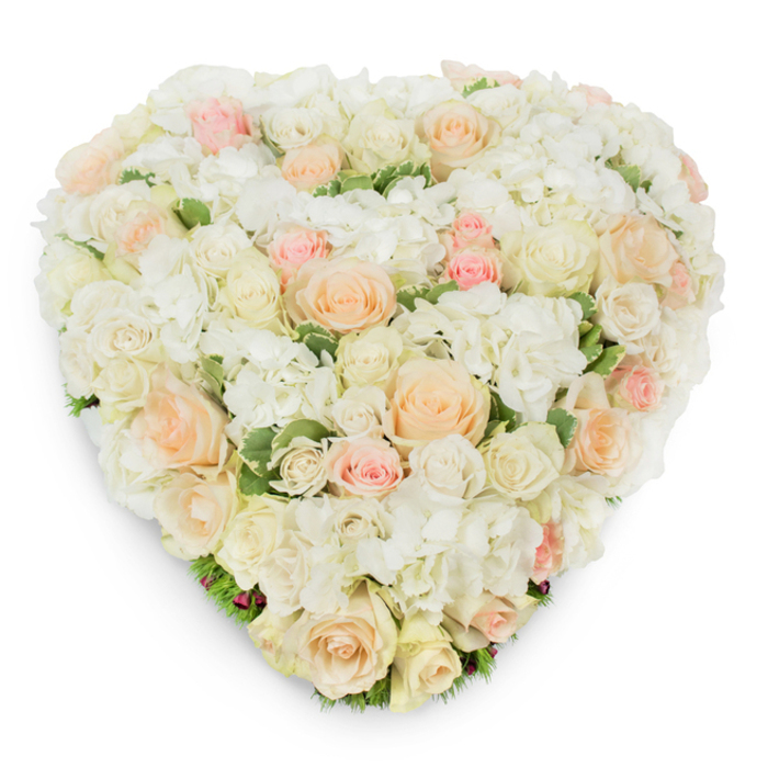 From a slightly raised, overhead viewpoint against a bright white background, this heart-shaped floral composition reads as an opulent yet tender statement of feeling, hand-assembled from pristine white and cream roses, soft peach blooms and whispery blush pinks. The roses vary from tight buds to broad-open blossoms, their layered petals creating a rich, tactile landscape punctuated by generous clusters of snowy white hydrangea that lend a cloud-like, velvety volume. Narrow glimpses of deep green, possibly variegated foliage, surface between the blooms, offering a fresh, leafy contrast that enhances the pastel warmth of the roses. The heart's outline is clean and continuous, crafted with precision so that the silhouette holds across the arrangement's lush topography; a gentle drop shadow beneath the piece emphasizes its three-dimensional presence and the meticulous construction. There is a soft, refined scent of roses that is clean and calming, underscoring the arrangement's mood of peaceful affection and dignified remembrance. Suitable for a funeral service, a commemorative display, or an intimate wedding detail at a city centre venue, this design speaks to profound emotion without gesture. Created with local care by Flowers Oxford for customers who value thoughtful, handcrafted tributes, it pairs classic formality with subtle warmth for ceremonies across Summertown, Cowley and the city's historic colleges and chapels.