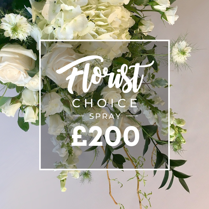 An arrangement of white and cream blooms, full-bodied and luxurious, sits with verdant greens on a clean white surface. The core blooms are large creamy roses with petals unfurled in a range of openness, interspersed with generous hydrangea clusters that create a cushiony effect. Long cascades of pale white blossoms descend from the center, tracing a graceful curve that hints at a garden spray. Near the top and along the edges, delicate Nigella Love-in-a-Mist provides architectural detail with its green centers and slender, feathery petals. A selection of small white fillers completes the scene, adding texture without stealing focus. The greenery is abundant and varied: broad, dark leaves supply a lush backdrop, lighter variegated greens offer gentle contrast, and curling tendrils slip down and around the bouquet's base. Rustic woody stems emerge from the bottom, enhancing the arrangement's organic, cascading line. Centered in the composition is a clean white square overlay bearing Florist Choice in elegant script, followed by SPRAY in uppercase sans-serif, and the large, dark ?200 at the bottom. The soft beige background highlights the whites and greens, a hallmark of Flowers Oxford's craftsmanship. This is a premium, bespoke floral spray-perfect for a heartfelt tribute or a stylish statement piece for a significant occasion. It offers Oxford residents reliable delivery across the city, from the historic Broad Street area to Port Meadow and the University Parks, ensuring the bouquet arrives fresh, fragrant, and in pristine condition.