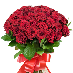 Cradled against a crisp white background, this breathtaking collection of more than fifty red roses forms a rounded, lavish bouquet that immediately draws the gaze. Each rose head is lush and velvety, opening from a tightly furled core into soft, multi-layered petals, their deep carmine glow shifting subtly in the afternoon sunlight that often graces Oxford's historic gardens. Glossy, vibrant green foliage peeks from beneath and between the blossoms, its texture echoing the tranquil greenery of University Parks. Binding the stems, a luxurious red satin ribbon is fashioned into an extravagant bow with flowing tails, reminiscent of festive gatherings near Magdalen Bridge. The bouquet exudes both opulence and heartfelt intimacy, making it perfect for significant moments-such as proposals beneath the dreaming spires or anniversary dinners in tranquil Summertown. Each element, from the meticulous arrangement to the sensory richness of fresh-cut roses, hints at the craftsmanship of a local Oxford florist, inspired by the city's blend of tradition and modernity. The bouquet's fragrance, though only imagined from the picture, suggests gardens coming alive in spring-a joyful presence in both grand halls and quiet college rooms, and a stunning expression of affection for birthdays, romantic milestones, or elegant celebrations across Oxford.