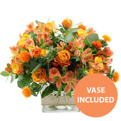 A warm, sunlit palette of flowers is arranged with care in a clear, square glass vase, set cleanly against a white background so that every colour and texture can be fully appreciated, much like pausing to admire a flower stall near Oxford's Covered Market. Dominating the composition are plush orange roses, some with petals that gently shift from tangerine at the tips to soft yellow toward the heart, giving the impression of tiny sunsets unfolding in each bloom. Among them, bright yellow garden roses sit slightly more compact, their tightly arranged petals creating perfect, rounded cups that add a sense of order and calm. Between the roses weave numerous peach and light orange alstroemeria, with slender, arching stems and petals elegantly marked with fine stripes and dots of deeper rust and cinnamon, providing an airy contrast to the fuller blooms. Scattered throughout the bouquet are small, boldly textured orange spheres, likely safflower or thistle-like heads, their spiky surface lending a playful, tactile quality that keeps the arrangement from feeling too formal. Encircling the vivid flowers, a mixture of dusky eucalyptus and lush green foliage adds volume and a cooling undertone, reminiscent of the shaded paths of Port Meadow on a summer evening. The sturdy square vase holds the stems neatly, and around its middle sits a band of natural burlap or jute ribbon, adding a handcrafted, rustic detail that suggests care and authenticity. In the bottom right of the image a round orange graphic with white text declares "VASE INCLUDED," signalling that this cheerful, autumn-tinged arrangement arrives as shown, ready to be placed on a kitchen table, office desk, or reception counter anywhere in Oxford, from Jericho to Headington.