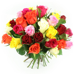 A lush, dome-shaped bouquet of freshly cut roses is captured against a pure white backdrop, every bloom turned outward as if to greet the viewer. The roses are tightly massed together, forming a dense, almost cloud-like cluster of colour, with no visible gaps between petals. Rich ruby and deep red roses create a passionate core, while bright yellow, vivid fuchsia, coral orange, blush pink, and soft ivory blooms are interlaced around them, giving the impression of a painter's palette brought to life. Some roses are fully open, revealing intricate, layered hearts, while others are only partly unfurled, their outer petals still gently cupping the centre. Here and there, smaller buds suggest new blossoms soon to open, adding a quiet sense of movement and time. Slender flashes of dark green foliage emerge between the flowers, framing the colours much like the mature trees that line Oxford's parks and college quads. Beneath the abundant heads, the long green stems are neatly aligned and bound with a green and white checkered ribbon, creating a pleasing transition from the textured blooms to the clean white surface below. The light is bright yet soft, avoiding harsh contrasts and instead emphasising the velvety texture of the petals and the healthy sheen of the leaves. The bouquet's mood is joyful and uplifting, ideal for marking a special day, offering congratulations to someone graduating in Oxford, or simply brightening a home near Jericho or Headington. Even without scent in the image, one can imagine a gentle, classic rose fragrance rising from the tightly woven blossoms, suggesting both romance and friendly warmth.