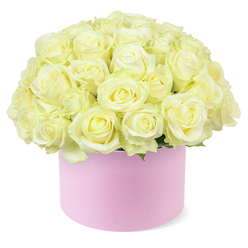 An opulent hat box arrangement of roses sits alone against a pure white backdrop, its simplicity allowing the intricate textures and colours of each bloom to take centre stage. The round box, a soft pastel pink with a smooth, matte surface, gently supports a luxurious mound of roses in shades of cream, ivory, and the faintest wash of buttery yellow at their cores. Every rose appears freshly opened, with layers of velvety petals curling outwards in perfect symmetry, creating a plush, quilted effect across the top of the design. The flowers are packed closely, so their heads touch and overlap, forming a flawless, domed silhouette that just spills over the rim of the box, as if the bouquet is brimming with emotion. Here and there, tiny glimpses of fresh green foliage emerge, hinting at stems and structure beneath the sea of petals, and adding a soft, natural vibrancy to the palette. The mood is one of gentle romance and understated luxury, similar to the quiet charm you feel wandering along the River Thames by Folly Bridge or through the quieter corners of University Parks. Crafted as though by a local Oxford florist who understands both tradition and modern style, the arrangement suggests anniversaries celebrated in cosy Jericho restaurants, elegant proposals in historic colleges, or a heartfelt thank-you sent to a North Oxford home. The clean composition and careful balance of colour and form give the impression of a piece that is both contemporary and timeless, radiating affection, appreciation, and refined taste.