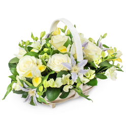This image portrays a softly luminous funeral flower basket, composed with the same care a skilled Oxford florist might use when creating a farewell tribute for a service near Jericho or Headington. A pale, woven wicker basket, light beige and slightly oval, sits against a plain white background so that every petal and leaf is clearly defined. A matching handle rises in a gentle arc over the arrangement, framing a lush mound of blooms that seems to spill just to the basket's edge without losing its tidy shape. Dominating the composition are large, creamy white roses, fully blossomed and luxuriously layered, their petals curling outwards in calm spirals that suggest grace and eternal rest. Tucked among them are unusual, star-shaped clematis flowers in soft lavender and pale periwinkle, their yellow-green centres adding subtle light, like early morning sun over Christ Church Meadow. Threaded between these focal flowers are clusters of delicate, freesia-like blossoms in white and soft lemon yellow, some still in tight buds, others just beginning to open, bringing an air of gentle movement and ongoing life. Wisps of white filler flowers and ruffled, rose-like lisianthus subtly enhance the volume without detracting from the central roses. Deep, glossy green leaves cradle and surround the blossoms, with lighter green stems and sprigs weaving through the design, giving structure and natural rhythm. The overall palette of whites, creams, soft yellows, and pale lilac tones creates a sense of quiet contemplation, making this basket suitable for sending condolences, honouring a loved one's memory, or placing by a memorial in one of Oxford's historic churches or crematoria. The design feels both traditional and fresh, a peaceful expression of remembrance and care.