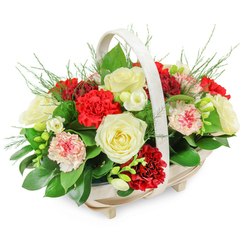 A light-toned wooden basket filled with roses and carnations sits centered against a bright white backdrop, quietly evoking the reflective mood of a funeral or memorial in Oxford. The shallow, oblong basket is crafted from pale wood slats with an arched handle, its four small feet giving a sense of stability and poise. From this base, a lush dome of flowers rises, overflowing just enough to feel generous without being overwhelming. Creamy white roses, fully open, display their layered petals in soft spirals, giving the arrangement a calm, contemplative heart. Around them, deep red carnations with tightly ruffled petals create pockets of rich, velvety colour, recalling the traditional dignity of funeral tributes sent to churches around Headington or Summertown. Interspersed among these are paler pink and bi-coloured carnations, their white petals brushed and edged with shades of rose and crimson, adding variety and gentle warmth. Smaller white flowers, similar to freesias, thread through the larger blooms, offering light, airy touches that catch the soft lighting in the photograph. A bed of glossy dark green leaves supports the composition, while fine, feathery sprigs of fern or asparagus plumosa emerge at the edges and top, giving the design an organic, garden-like feel. Every element appears fresh and carefully placed, as if arranged that morning by an experienced local florist preparing a thoughtful condolence gift for delivery across Oxford, to rest beside a framed photograph or candle and provide comfort through calm, natural beauty.