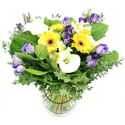 From the workshop of Flowers Oxford in the heart of Jericho, this vibrant bouquet is a study in cheerful contrast and refined texture. The clear glass vase holds a neatly arranged bouquet, stems visible through clean water, set against a pure white background that makes every color sing. Dominating the composition are several sunny yellow Gerbera daisies, each with a bold dark center that acts as a focal spark. They are playfully woven with ruffled Lisianthus in lavender and deeper purples, some fully opened, others still in elegant bud, giving the arrangement depth and movement. Pristine white Calla lilies provide sleek, architectural counterpoints with their smooth, trumpet-shaped petals. Interspersed among them are white Alstroemeria, tiny streaks of yellow or green catching the light. The greens do the lifting - silvery eucalyptus branches add a whisper of fragrance and softness, while broader leaves create a lush, grounding backdrop. A subtle black tie around the stems inside the vase anchors the bouquet with quiet precision. This arrangement radiates freshness and serviceable elegance, perfect for birthdays, office celebrations, or a thoughtful gesture to brighten a day. Available for same-day delivery across Oxford - from Summertown to Oxford City Centre, and across Headington and Jericho - this bouquet brings a touch of sunshine to any doorstep, delivered by Flowers Oxford with care and local spirit.