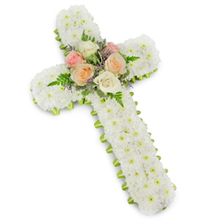 A serene floral cross, designed as a traditional Christian funeral tribute, fills the frame against a pure white background that enhances every detail of the craftsmanship. The entire body of the cross is generously covered with compact white chrysanthemum buttons, arranged so tightly that no stem or frame is visible, only a cushion of soft, cloud-like petals symbolising peace and innocence. Along the perimeter runs a precise border of lime green ribbon, its clean line giving definition and a hint of fresh colour, like the first spring grass along the banks of the Thames near Oxford's Folly Bridge. At the intersection of the vertical and horizontal arms, a graceful posy of roses forms the focal point. These larger blooms open fully in tender shades of pastel pink, delicate peach, and gentle cream, their ruffled petals surrounded by lacy green ferns and light touches of lilac or lavender filler flowers. The contrasting textures-smooth chrysanthemum buttons, satiny rose petals, and feathery foliage-create visual depth while maintaining a calm, composed mood. The arrangement feels both formal and deeply personal, suited to a funeral, wake, or memorial gathering anywhere in Oxford, from a quiet church near Headington to a chapel in Cowley. It suggests the quiet hush of a service where memories are shared and eyes may be tearful, yet comforted by this expression of faith and remembrance. The floral cross looks freshly made and carefully handled, ready to be delivered as a loving farewell to honour someone dear.
