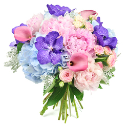 A richly detailed round bouquet is photographed against a pristine white backdrop, showcasing the kind of balanced artistry often seen in the smarter flower shops around Oxford's historic centre. At its core, large light pink peonies are in full, sumptuous bloom, each blossom a swirl of soft, ruffled petals that create a dreamy, cloud-like focus. Embracing them is a generous layer of sky and powder blue hydrangeas, their soft mop-head clusters producing a cool haze of colour that gently tempers the warmer pinks. Interwoven among these are dramatic deep violet-purple Vanda orchids, their broad, velvety petals patterned with fine speckles that catch the light, giving the arrangement a refined, almost couture accent. Curving confidently through the design, vibrant fuchsia calla lilies add streamlined trumpets of intense colour, lending a contemporary edge and a sense of movement, as though the bouquet is subtly unfolding. Tiny blush pink spray roses are tucked between the larger blooms, their delicate buds and petite petals bringing an intricate, romantic detail that feels perfect for a Magdalen College garden celebration or a quiet proposal beside Christ Church Meadow. Supporting this abundance, glossy dark greenery provides structure and depth, while sprigs of silvery dusty miller soften the outline with their velvety, frosted leaves. The natural stems are visible and neatly bound at the base, emphasising that this is a fresh, hand-crafted bouquet ready for local delivery. The composition radiates calm joy and polished sophistication, ideal for marking milestone birthdays, graduations in the city's colleges, or any special occasion across Oxford from Headington to Botley.