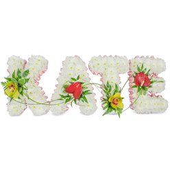 The image shows a bespoke funeral flower tribute spelling out KATE in four bold capital letters, arranged in a straight line against a plain white background that keeps all the focus on the flowers themselves. Each letter has been built up from dense clusters of snowy white chrysanthemums, their small rounded heads packed so closely together that they form a plush, cloud-like surface. A narrow trim of pale pink ribbon carefully outlines every curve and angle, the soft blush colour lending a gentle, soothing character that would feel at home in a quiet Oxford chapel or cemetery near Botley Road or Wolvercote. Nestled into this white base are striking accent flowers and foliage placed with a designer's eye. On the left arm of the K and low on the T, lime-tinted cymbidium orchids with speckled reddish throats add an unexpected touch of luxury, their thick petals catching the light. On the A and the E, glossy red anthuriums in the shape of small hearts emerge from pockets of rich green leaves, their lacquered surfaces contrasting with the velvety chrysanthemums. Slender green vines and ferny strands curl across and between the letters, gently linking each character so the name feels like a single, flowing tribute rather than separate pieces. The composition, lighting, and crisp white backdrop make it easy to see every detail, from ribbon ruffles to leaf edges. Created as a personalised sympathy arrangement for a funeral or memorial service in Oxford, this floral name design conveys remembrance, love, and respect in a way that feels intimate and thoughtfully crafted by an experienced local florist.