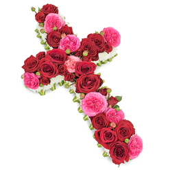 Set against a clean, bright white backdrop, this traditional Christian funeral cross is entirely composed of roses and delicate fillers, creating a moving floral tribute that feels both classic and deeply personal. The main body of the cross is formed from lush, fully opened deep red roses, their velvety petals layered thickly to create a rich, almost tapestry-like surface along both the upright and crossbar. Nestled among them, clusters of vibrant fuchsia pink roses and plump buds introduce a softer, more tender note, like shared stories and laughter remembered in quiet moments. At the very edges, a refined border of tiny white blossoms - likely spray chrysanthemums or petite carnations - draws a crisp outline around the cross, giving the design clarity and a sense of gentle lightness, as though resting on a bed of cloud. Small hints of fresh green leaves and possibly a slim decorative ribbon appear around the sides, adding structure and a subtle frame that speaks of expert craftsmanship by a local Oxford florist familiar with arranging tributes for services in churches from Jericho to Iffley. The lighting is soft and even, allowing the deep reds, vivid pinks, and pure whites to stand out without harsh shadows, creating an atmosphere of peace and contemplation. This floral cross is intended as a heartfelt expression of sympathy, ideal for funeral services, cremations, or memorial gatherings across Oxford, offering comfort, faith, and a dignified farewell to a beloved soul.