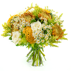 Displayed against a pure white backdrop, this hand-tied bouquet feels like a snapshot of early autumn gathered by an experienced Oxford florist. The flowers form a rounded, full silhouette, stems neatly banded together with green tape at the base, giving a clear view of the craftsmanship. Dominating the arrangement are generous chrysanthemums in glowing shades of rusty orange, deep gold, and hints of reddish-brown, their layered, spiky petals adding drama and depth, much like the changing trees along Banbury Road. Between them, creamy white roses open gently, the petals curled in elegant spirals that bring softness and a refined, romantic note. Several striking celosia cockscombs in marigold-yellow and orange tuck into the design; their velvety, coral-like ridges invite you to imagine their plush texture under your fingertips, bringing a contemporary twist. Sprays of petite white matricaria daisies with bright yellow hearts are scattered like confetti through the bouquet, lightening the composition and evoking wildflower patches around Port Meadow. Airy lime-green solidago and a mix of fresh green foliage frame the whole piece, creating a bright, verdant cushion that makes the warmer hues glow. The lighting is clean and even, enhancing the contrast between crisp whites, glowing yellows, and lush greens. This bouquet feels relaxed yet polished, ideal for celebrating a birthday in Summertown, welcoming a new neighbour in Cowley, or sending a cheerful seasonal surprise across Oxford with same-day delivery from Flowers Oxford, carrying a sense of comfort, gratitude, and natural abundance.