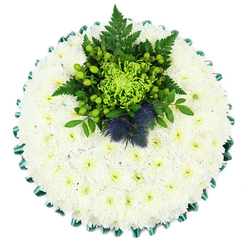 Seen directly from above against a simple white backdrop, this round funeral cushion looks almost like a quiet, snow-covered clearing, designed with the steady hands of an experienced Oxford florist. The majority of the tribute is made from closely packed white chrysanthemum blooms, likely spray varieties, arranged so tightly that they form a smooth, cloud-like surface. Each flower has a halo of fine petals and a pale green centre, giving the cushion a gentle, living glow rather than a stark, flat white. Around the outer edge, a band of emerald green satin ribbon is folded into crisp, overlapping pleats, circling the tribute like an elegant frame and recalling the formal gardens found around colleges near Broad Street or St Giles'.   

At the upper centre sits a contrasting focal spray of rich greens and cool blues. A vivid lime spider chrysanthemum radiates thin, curling petals, creating a starburst of fresh colour. Around it, clusters of bright green Hypericum berries and textured green chrysanthemums are tucked among dark fern fronds and layered foliage, building an intricate tapestry of shapes and tones. Two rounded Scottish thistles, in hues of deep blue and soft violet, rise from this greenery with their characteristic spiky heads, adding both height and symbolic resonance for families with ties to Scotland or fond memories of the Highlands.   

The design feels peaceful yet characterful, a thoughtful tribute suitable for condolence services across Oxford, from Cowley to Summertown. It suggests quiet strength and enduring love, the kind of memorial arrangement one might choose to accompany a final farewell, whether delivered to a city church, crematorium chapel, or family home for a private moment of reflection.