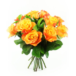 Centered against a pure white backdrop, this lush bouquet of bi-colour roses looks as though it has been arranged with care for a special Oxford celebration, perhaps a graduation gathering off High Street or a cosy anniversary dinner in Summertown. Approximately a dozen roses form a compact, rounded cluster, each bloom in full, confident flower. Their petals open in layered swirls, starting with a bright, sunshine yellow at the core and gradually deepening into vibrant tangerine and molten orange toward the outer rims, with some petals edged in a faint red-orange glow reminiscent of an autumn sunset over Christ Church Meadow. The roses sit snugly together, creating a soft, cloud-like texture, while pockets of rich, emerald-green foliage thread between the blossoms, framing the warm colours and lending a natural, garden-fresh look. The leaves have a smooth, leathery finish and catch the light with a gentle sheen, offering visual depth and contrast. Just beneath the canopy of petals, the stems are gathered into a tidy bundle, straight and sturdy, their dark green tones confirming the freshness of the cut. The neutral background ensures there are no distractions, allowing the eye to rest solely on the vivid interplay of yellow, orange, and green. The bouquet radiates cheer and encouragement, ideal for saying "well done" to a new graduate, "thinking of you" to a friend in Headington, or "happy birthday" to someone special, while quietly showcasing the skill of a seasoned Oxford florist who understands the power of colour and form.