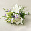 Photographed horizontally on a pale beige linen surface, this bouquet captures an early-summer hush with pristine white lilies commanding the scene: some blossoms opened wide to display luminous cream centres and golden stamens, others kept as pale green buds, still filling the air with a soft, expectant scent. Interspersed are white lisianthus whose petals carry a gentle lavender border, a subtle counterpoint that introduces a cool, floral blush without overpowering the whites. The arrangement is threaded with delicate baby's breath, its tiny clusters lending a cloud-like softness, and with airy, asparagus-fern-style foliage that weaves through the stems to create breathing space and textural contrast. Broader glossy leaves anchor the bouquet, giving weight and depth to the lighter elements. The stems converge at the right and are secured in a neat hand-tie with a crisp white satin ribbon: a refined finishing touch that signals careful florist craftsmanship and makes the bouquet comfortable to carry or place on a table. Soft daylight and faint shadows emphasize the lilies' satin sheen and the lisianthus ruffles, offering sensory cues of touch and scent for someone who cannot see. This composition evokes purity and gentle celebration - ideal for a bride seeking understated elegance, an anniversary gift, or a soothing floral offering - and is the sort of arrangement an Oxford florist might prepare for delivery across the city, from Jericho to Summertown, with attention to freshness and presentation.