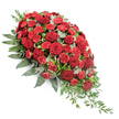 Traditional red funeral spray crafted in a flowing, asymmetric teardrop design, resting visually against a bright white background that highlights its deep, dignified colours. The arrangement is rich with dark red roses, many fully open so their velvety petals form perfect rosettes that draw the eye toward the heart of the design. Woven between the roses are multiple clusters of red carnations, their ruffled, many-layered petals adding fullness and soft movement, creating the sense of a continuous tapestry of crimson. Beneath and around the blooms lies a strong base of foliage: broad, dark green leaves give the spray its overall outline and structure, while rounded, silvery eucalyptus leaves slip between the reds, providing cool, muted accents. As the composition flows from the generous upper left to the slender lower right, fine trails of lighter green foliage-similar to ruscus-extend outward and downward, giving a gentle cascading effect that feels both intentional and naturally graceful. The light is soft and even, making the reds glow warmly without glare, as if the piece were prepared in a quiet Oxford florist's studio on a still morning. Though the photo is silent, the arrangement suggests a subtle mingling of rose and carnation fragrance, evoking memory and affection. This is a classic casket or altar spray, the sort of condolence tribute chosen to honour a loved one at funeral and memorial services across Oxford, from intimate gatherings in East Oxford to larger ceremonies in churches and crematoria throughout the city.