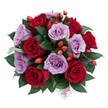 A tightly gathered, dome-shaped bouquet photographed from a slightly top-down angle against a pristine white background, the composition emphasising its lush, compact silhouette. About ten to fifteen perfectly formed roses dominate the scene: deep, velvety crimsons that read as classic romance sit cheek-by-cheek with powdery lavender-mauve roses that lend an unexpected, refined coolness. Each bloom opens in a near-perfect spiral, the petals soft and layered, their textured edges catching gentle light so the reds glow and the lavenders take on a silvery whisper. Nestled between the roses are glossy, dark-green leaves-suggestive of ruscus-whose smooth, reflective surfaces frame each head and add structural depth. Scattered throughout, bright orange-red rose hips or berry clusters introduce a lively, woodland note; their glossy, bead-like forms pop against the softer petal tones and give the arrangement an almost orchard-fresh character. Near the bottom centre, partly tucked beneath the blooms, a small white gift tag peeks out; the single word flower is handwritten in a playful, elegant red script, signalling a personal, tender intent. Soft studio light creates delicate shadows among the petals and highlights the bouquet's three-dimensional fullness, evoking a scent that feels like a garden after rain-earthy, sweet, and reassuring. The overall impression is one of curated intimacy: a bouquet equally suited to an anniversary dinner, a quiet reconciliation, or as a sincere 'just because' present. It reads as both celebratory and comforting, crafted with the kind of care a local Oxford florist would use when designing something meant to be both seen and felt.