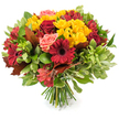 A hand-tied, rounded bouquet that sings of autumn-laid against a clean white background so every colour and texture reads clearly. At first glance deep crimson gerbera daisies with broad, velvety petals and dark centers anchor the arrangement, their bold faces balanced by clusters of rich burgundy-red roses, some unfurling into layered blooms while others remain tightly furled. Bright yellow spray chrysanthemums are tucked throughout like pockets of sunshine, their many tiny petals creating a cheerful, luminous texture against the darker reds. Coral-pink roses and soft peachy garden roses offer gentle, warm highlights that soften the composition, while slender alstroemeria in red-orange hues, with their fine, often-striped petals, add a lively, star-like movement between larger blooms. The bouquet is framed by a variety of foliage - glossy deep-green leaves that give weight and sheen, lighter variegated greens that add breath and contrast, and several large, russet-brown autumn leaves with lobed shapes that immediately read as seasonal, lending a rustic, harvest-time note. The stems are visibly gathered at the base into a neat, tactile bundle of green stalks, a clear sign of a classic hand-tied technique and of fresh, just-cut stems. Under soft natural light the petals have a gentle glow; you can almost sense the perfume of roses and chrysanthemums. This arrangement feels like a warm invitation to bring the comforts of fall indoors-a Thanksgiving centrepiece, a harvest celebration gift, or a thoughtful delivery to brighten an Oxford sitting room on a crisp morning.