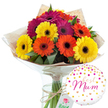 This image presents a joyful, hand-tied bouquet of gerbera daisies, photographed against a pure white background with the clarity of a florist's studio in central Oxford. The arrangement consists of around a dozen large, round gerbera heads, each bloom fully open and turned outward, so their dark central disks sit like small suns surrounded by rings of petals. The colour scheme is boldly uplifting: bright yellow gerberas shine alongside vivid orange and deep magenta flowers, the three tones weaving together in an informal pattern that feels spontaneous yet balanced, much like the colourful planting you might notice in Oxford's Botanic Garden in late spring. Dark green leaves and short stems of foliage appear between the flower heads, giving the bouquet shape and adding a natural contrast to the vibrant petals. The stems are neatly gathered and wrapped first in slightly textured brown kraft paper, then enclosed within a layer of clear cellophane that hugs the bouquet's outline and reflects subtle highlights. A length of natural-look twine is tied securely around the stems in a modest bow, underscoring the handmade, freshly prepared feel. The bouquet stands upright in a tall, transparent glass vase filled with water, making the straight, pale-green stems clearly visible. To the lower right, a round white foil balloon leans into the frame, enhancing the festive mood. Its surface is sprinkled with small metallic gold spots, pink confetti-style dots and tiny hearts, while the central message, best Mum, is written in an elegant pink script. The combination of colourful gerberas and affectionate balloon suggests a thoughtful, ready-to-gift surprise for Mother's Day, a birthday, or a just-because moment for a mum in Oxford, whether she's in Headington, Jericho, or near the city centre.