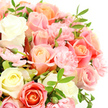 This photograph presents a richly detailed bouquet of roses and carnations in a soft, romantic palette, captured in close-up against a pristine white backdrop. The flowers are arranged with the care of a seasoned Oxford florist, each bloom placed to showcase its unique shade and shape. Large roses, fully open or just beginning to loosen their petals, span from creamy whites and the palest buttery yellows to tender blush pinks, gentle peaches, and deeper salmon-coral tones. Their petals are smooth and velvety, curving in layered spirals that draw the eye inward. Tucked between these statement roses are countless smaller, frilly carnations, mainly in a light pink hue, their edges slightly ruffled as if stirred by a soft breeze on the banks of the Cherwell. These carnations add volume and a delicate, lace-like texture, making the bouquet appear plush and generous. Slender, elongated leaves in a strong, verdant green thread through the composition, breaking up the pastels and suggesting fresh garden foliage brought in from a hidden courtyard off St Giles or near Iffley Road. A handful of buds remains tightly closed, tiny hints of future blooms that introduce a quiet feeling of anticipation. The white background and gentle lighting ensure that only the flowers command attention, their subtle colour transitions and intricate forms clearly visible. The mood is serene and tender, perfect for expressing affection, comfort, or congratulations across Oxford, whether for a birthday in Headington, a new home in Jericho, or a simple, heartfelt thank-you. The bouquet radiates a sense of peace, softness, and thoughtful artistry.