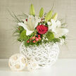 This image shows an artfully composed wedding flower arrangement that feels perfectly at home in Oxford's blend of history and modern style. A white, lattice-woven basket cradles a luxurious medley of white lilies and deep red roses, arranged with the care of an experienced local florist. The lilies, some closed in elegant, tapered buds and others fully opened into wide, star-like blooms, give off the impression of soft, luminous trumpets calling in a new chapter. Between them, rich crimson roses unfold layer upon layer of velvety petals, adding intensity and emotion, much like a romantic stroll along the cobbled streets around Radcliffe Square. Cushions of bright green dianthus, reminiscent of mossy lawns in University Parks, sit low in the design, providing a vivid, tactile base that makes the blooms appear even more luminous. Tiny clusters of red hypericum berries and sprigs of gypsophila weave throughout, breaking up the larger shapes with little sparks of texture and light. Wisps of leafy greenery stretch upwards and outward, giving the arrangement a relaxed, garden-fresh silhouette that still feels polished enough for a ceremony in one of Oxford's historic colleges. The soft, ambient daylight highlights each petal and curve of the basket, creating subtle shadows that add depth and sophistication. Overall, the bouquet speaks of balanced joy and thoughtful elegance, equally suited to a wedding altar, a signing table at the Oxford Register Office, or a reception by the river in Folly Bridge, where scent, colour, and texture quietly echo the emotion of the day.