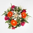 This radiant bouquet, inspired by the vibrant spirit of Oxford's local flora and community, exudes an air of celebration and refined warmth. At its centre, three brilliant orange Gerberas command attention, their petals soft yet strikingly vivid, like bursts of sunrise over the city's dreaming spires. Between these, rich magenta and fuchsia roses unfurl-some in full bloom, others just emerging-casting an air of romance and joy into the composition. A single peach-cream rose rests at the heart, its gentle hue bringing serenity and balance to the palette. Ivory-white alstroemeria blooms, touched with hints of blush and green, weave through the arrangement, their presence promising new beginnings and gentle sophistication. White spray chrysanthemums, small and cloud-like, pepper the design with softness and charm, while the whole scene is framed by lush dark greenery, its deep tones reminiscent of Oxford's famous parks such as South Park or University Parks. The bouquet's full, circular embrace and meticulous layering highlight the touch of the florist's expert hands, and the surrounding white space lets the vivid colours and textures shine. Ideal for birthdays, anniversaries, or thoughtful notes throughout the Oxford area, this arrangement celebrates the city's unique blend of tradition and vibrancy-bright, comforting, and expertly crafted from petal to leaf.