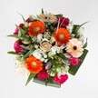 This bouquet, crafted for homes in Oxford's vibrant neighbourhoods, practically sings with radiant, life-affirming colour-a celebration designed to uplift a loved one's day, whether on the Cowley Road or in Jericho. At the heart, exuberant orange Gerbera daisies burst with energy, their vivid petals and green-yellow centres radiating optimism like the first rays over Magdalene Bridge. Creamy peach Gerberas, kissed with dark burgundy-brown hearts, soften the effect, while close by, hot pink carnations offer lush ruffles and playful volume. Roses-some deeply fuchsia, others rich burgundy or elegantly gold-add romance and depth, their textures inviting to the touch, hinting at celebrations and cherished moments. White spray chrysanthemums and ruffled lily buds interlace like flecks of cloud across Port Meadow skies, their brightness balancing the bouquet's deeper hues. Greenery - from elegant, broad leaves to wispy, eucalyptus-inspired sprigs - encircles the blooms, grounding the design and imbuing it with Oxford's enduring natural charm. Each detail is chosen with care, evoking celebrations, thanks, or simply a warm embrace delivered straight to a doorstep in the city. The result is a composition brimming with colour, freshness, and heartfelt intent to share joy throughout Oxford.