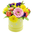 This Easter-inspired hatbox arrangement looks like a pocket of spring sunshine captured and carefully arranged by a local Oxford florist. The flowers are grouped tightly into a domed, almost cushion-like shape, rising from a cylindrical pastel lime-yellow hatbox that instantly signals the season. At the core of the display is a large, soft pink Gerbera daisy, its wide, flat face and radiating petals creating a serene focal point, with a pale green eye that gently echoes the surrounding foliage. Clustered nearby, yellow chrysanthemums unfurl their fine, narrow petals in bright, happy circles, conjuring the feeling of sunlight dancing along the paths of South Park on a crisp morning. Coral-orange carnations, with their intricate ruffled edges, add a touch of nostalgic charm and textural richness, while deep violet lisianthus blooms thread between them, bringing in cool, sophisticated notes that provide contrast and depth. The greenery, ranging from fresh mid-green leaves to subtler variegated foliage, fills out the arrangement and guides the eye across the composition, making each bloom feel intentionally placed rather than crowded. The hatbox itself, smooth and cylindrical, is adorned with playful pastel Easter eggs in shades of powder blue, pink, white, and soft green, some patterned with tiny dots and simple stripes that give the design a fun, family-friendly character. Photographed against pure white, every colour stands out crisply, making this piece perfect for an Easter breakfast table in Jericho, a springtime thank-you for a teacher at one of the local colleges, or a cheerful delivery to brighten an office near the High Street with the promise of new beginnings.