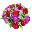 The photograph presents a lavish, circular bouquet viewed directly from above, placed against a bright white background that allows every colour and detail to stand out clearly, as if lit by soft daylight streaming through an Oxford townhouse window. At the centre of the design, and radiating evenly throughout, are approximately seven or eight sumptuous red roses. Their petals are tightly layered at the core, then gradually loosen and unfurl into classic, cup-shaped blooms. The red tones shift gently, from a vivid scarlet on the outer petals to deep, wine-like shades in the inner curls, hinting at depth and emotion. Nestled around and between these roses are numerous magenta and purple carnations, their ruffled, serrated petals forming intricate, fluffy clusters. Some blossoms lean towards bright fuchsia, while others deepen into plum and royal purple, the variations creating a lively yet harmonious contrast that feels both joyful and refined, much like a stroll through the blossom-filled paths of the University Parks in spring. Lush greenery is carefully threaded throughout the bouquet: soft, round eucalyptus leaves with a cool, silvery-green cast; broader, darker-green foliage similar to ruscus or salal that anchors the colour scheme; and finer stems with smaller, brighter leaves that lend a natural, just-picked freshness. The arrangement is packed full yet remains perfectly round, suggesting the practiced hand of a local florist who understands balance and proportion. The mood is romantic, celebratory, and confident-well suited to anniversaries, special birthdays, or a thoughtful surprise delivery to a home near Jericho or along Iffley Road, bringing a burst of rich, fragrant colour into everyday life across Oxford.