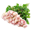 A softly composed bouquet of around two dozen pale pink roses lies horizontally across a bright white background, the kind of carefully crafted sympathy arrangement you might find prepared in an Oxford flower studio before an early morning delivery. The roses gather into a generous mass of blush-toned blooms at one end, with their long, straight stems and abundant foliage trailing away toward the opposite corner. Each flower is unique in its stage of opening: some are tight, symmetrical buds with petals wrapped closely in a perfect spiral, while others have unfurled more generously, revealing layered, velvety centres touched with deeper hints of dusty rose and the faintest suggestion of lilac in the shadows. The petals look soft and cool to the touch, slightly ruffled at the edges, conveying a sense of fragility and tenderness. Behind them, rich dark green leaves cluster thickly around the stems, their smooth, glossy surfaces catching the light and creating a strong, natural contrast with the gentle pastels of the blossoms. The lighting is clean and even, comparable to natural daylight streaming into a quiet shop off the High Street, illuminating every curve and fold without casting harsh shadows. Together, these elements create an atmosphere of calm reflection and dignified beauty, ideal for expressing sympathy and support during times of grief. This image suits content about condolence flowers, memorial tributes, and funeral arrangements for families in Oxford-whether for services near Jericho, gatherings in Cowley, or thoughtful doorstep deliveries that carry a message of compassion and remembrance.