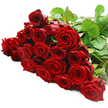 A sweeping band of luxurious red roses stretches from left to right across a pure white background, creating a dramatic river of colour that looks as if it has just been arranged on a workbench in an Oxford flower shop. Around two to three dozen long-stemmed roses nestle together, their blooms forming a dense, almost continuous surface of crimson at the centre, while a tangle of stems and leaves emerges most clearly along the top right edge. Each flower head is richly textured, with velvety petals in shades of deep red and wine, curling inward toward tightly wound centres or opening outward into generous, layered rosettes. The petals catch the bright, diffuse light, creating subtle highlights along their rims and deeper shadows where they overlap, giving the bouquet a sense of depth and movement. The foliage is a robust, glossy green, threaded between the roses and spilling gently outwards, cooling and framing the intensity of the red. Set against the pristine white surface, every bloom stands out with striking clarity, as if waiting to be lifted and placed into a hand-tied bouquet bound for a home near Port Meadow or a celebration dinner on the High Street. You can almost sense the classic, understated fragrance of fresh roses, hinting at romance, gratitude, or a heartfelt apology. This arrangement feels ideal for anniversaries in Jericho, surprise gestures in Summertown, or meaningful celebrations across Oxford, capturing the enduring symbolism of red roses in a composition that is both passionate and beautifully refined.