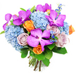 A sumptuous hand-tied bouquet is presented against a bright white background, every detail clearly visible, like a carefully styled arrangement placed on a display table in an Oxford High Street flower shop. In the upper sections of the bouquet, large Vanda orchids in vivid shades of fuchsia and deep magenta command attention. Their petals are decorated with fine white speckles and lattice-like markings, giving each bloom a textured, almost fabric-like appearance that exudes luxury. These are seamlessly woven through generous clusters of sky-blue hydrangeas, which create a soft, rounded base. Each hydrangea head is dense with small, delicate florets that together form plush, cushiony mounds, their cool blue tones soothing and serene, reminiscent of a quiet stroll along the Isis on a clear morning. Intermingled with this blue softness are roses that introduce both warmth and romance: bright orange roses, lively and optimistic, with petals unfurling in neat spirals, and dusty lavender or mauve roses, whose more subdued hue adds a dreamy, contemplative note. Slender stems of darker blue accent flowers, similar to delphiniums, rise from within, contributing movement and extra depth of colour without overwhelming the main blossoms. Encircling the bouquet, rich green foliage with broad, glossy leaves acts as a frame, enhancing the vibrancy of the purple, blue, and orange flowers and evoking the freshness of a garden just after rain. The stems at the base are left visible, neatly gathered and hand-tied in a compact, domed shape, reflecting the skilled touch of an experienced local florist. This arrangement feels both exuberant and refined, perfect for sending a heartfelt congratulations or a luxurious thinking of you to someone special in Oxford, from Cowley to Jericho.