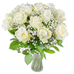 A serene, elegant bouquet of creamy white roses and wisps of baby's breath sits in the centre of the frame, captured against a clean white backdrop that makes every petal and leaf read clear and luminous. About a dozen large roses are fully open, their satin-like petals unfurling in gentle spirals; some show a warm, creamy-yellow blush at their tightly wound centres, lending subtle depth to the overall ivory palette. Scattered between the roses are cloud-like sprays of gypsophila, those tiny clustered blooms creating a soft, misty texture that lightens the composition and frames each fuller blossom with delicate points of white.

Beneath the flowers, generous green foliage fans out in differing shapes and tones-broad glossy leaves and smaller textured fronds that set off the purity of the roses and add natural contrast and volume. The stems are neatly trimmed and visible through a simple, slightly flared clear glass vase, the water sparkling under even, natural light. The lighting is bright but soft, revealing the velvety surface of the petals, the fragile stems, and the subtle shadows that give the arrangement depth.

As a florist in Oxford I picture this bouquet in quiet moments-a chapel aisle at Magdalen, a bedside table in Jericho, or as a calming centerpiece in a home near University Parks. Its scent is gentle: a pale, clean rose note threaded with fresh green undertones. It reads as comforting and refined, suitable for weddings, sympathy, anniversaries, or any occasion calling for quiet grace and sincerity.