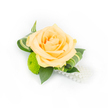 A delicate boutonniere sits against a clean white backdrop, its composition bright and intimate like a small keepsake. At the centre is a full peach rose, petals layered in soft apricot and champagne tones that curl inward with the quiet precision of a bloom just opening; the inner petals carry a slightly deeper warmth, lending depth to the heart of the piece. Nestled beneath and to the left, a lime-green button chrysanthemum pops with a cushiony texture, its compact florets forming a cheerful, spherical counterpoint to the rose's ruffled surface. Deep green ruscus leaves form a supportive base, their glossy blades grounding the arrangement and catching highlights from the bright studio light. Interlaced are elegantly curled, variegated leaves-striped bands of cream and fresh green-that frame the rose with a subtle, modern twist and a hint of movement. From the lower right a strand of lustrous white faux pearls drapes gently, adding a vintage shimmer that suggests formal occasions and heirloom details without overwhelming the natural elements. The photograph is crisply lit to emphasise texture and freshness, each shadow soft and every edge clear against the pristine white. This handcrafted corsage fits perfectly for weddings along the High Street or graduation proms near Jericho, offering a touch of Oxford charm and thoughtful design for anyone seeking a small, wearable bloom that reads as refined, tender and celebratory.