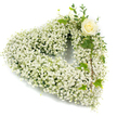 A serene, heart-shaped wreath formed almost entirely from a dense cloud of tiny white Baby's Breath (Gypsophila), each little bloom packed closely to create a soft, billowing texture that reads like a gentle snowfall across the silhouette of the heart. The overall impression is of airy purity: the clustered blossoms catch light in pearl and cream tones, their fine stems giving a feathery, weightless feel that invites quiet contemplation. Nestled at the upper right curve of the heart is a single creamy-white rose, its petals still elegantly furled in a classic spiral, offering a calm focal point whose smooth, satiny surfaces contrast with the Baby's Breath's cloudlike granularity. Around that rose, deep green ivy leaves-glossy and lobed-and slender, eucalyptus-like sprigs weave through the white, adding cool, silvery-green accents and a soft herbal scent that would be gentle in a chapel or beside a graveside.

Set against a plain white background that heightens the arrangement's purity, the piece reads as both a visual and emotional gesture: respectful, tender, and composed. The florist's craftsmanship shows in the careful balance of texture and line-the heart's symmetrical curve softened by the trailing greenery along the right side-and in the way the solitary rose lends quiet dignity without overpowering the chorus of tiny blooms. This is a classic sympathy tribute suited to a memorial service, funeral, or private remembrance, a floral expression of enduring love, consolation, and peace that feels as appropriate in an intimate family chapel as it would by the River Isis or in a service near Oxford's Botanic Garden.