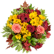 Seen from a gentle overhead angle against a clean white backdrop, this hand-tied autumn bouquet feels like a sunlit walk through a city park in early October. At its heart, clusters of golden-yellow button chrysanthemums glow with a soft, buzzy warmth; their compact, feathery heads form a cheerful, sunny carpet that draws the eye inward. Scattered among them are bold, deep burgundy gerbera daisies with flat, open faces and darker centers, their dramatic tones giving the composition a grounded, almost velvety depth. Interwoven are lush roses in varying stages of bloom-some rich crimson, velvety and full, others in coral-pink and soft peach that lift the palette with gentle romance. Smaller, star-shaped alstroemeria in cranberry and reddish-brown tuck into the spaces between larger blooms, adding delicate lines and a layered, tactile texture. The bouquet is built on a foundation of glossy broad leaves and crisp variegated foliage edged in creamy green, which catch soft daylight and add a cool contrast to the warm florals. Here and there, reddish-brown autumn leaves-reminiscent of local maples-peek out, introducing a rustic, woodland whisper that reinforces the seasonal theme. The overall scent is faintly sweet with green, garden-like undertones; the textures range from velvety petals to resilient chrysanthemum florets and smooth, cool leaves. This piece feels welcoming and generous, suited as a centrepiece for a cosy gathering, a birthday gesture, or simply to bring the colours of autumn indoors, echoing the harvest tones you might spot along the towpaths near University Parks or the tree-lined streets of Summertown.