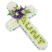 A refined floral cross tribute rests against a bright white background, its thoughtful design combining traditional Christian symbolism with a fresh, modern colour palette often chosen for funerals and memorials around Oxford. The entire body and arms of the cross are meticulously covered with dense white spray chrysanthemums, arranged so closely that they form a continuous, pillow-soft surface of petals, suggesting purity, serenity, and a sense of gentle comfort. Encircling this mass of white blooms is a narrow but distinct border of vivid green, likely ribbon or carefully folded foliage, which outlines the shape with precision and adds a crisp contrast, not unlike the green edging along paths in Christ Church Meadow. Down the centre of the vertical arm runs a decorative panel of lime-green button chrysanthemums, their small, rounded flower heads forming a textured stripe that stands out against the white foundation. Fine, pale green decorative wires or threads are lightly draped across this section in a loose criss-cross pattern, creating a delicate, almost lace-like effect. At the point where the arms of the cross intersect, a compact yet eye-catching cluster of flowers serves as the focal point: deep, velvety purple lisianthus blooms sit alongside bright lime-green chrysanthemum buttons, framed by arching fern fronds and glossy leaves that radiate softly outward. The interplay of white, green, and purple gives the tribute a composed yet uplifting character, making it a meaningful choice for services in local churches or crematoriums, from Wolvercote to Littlemore. The arrangement reflects the quiet care and attention to detail that experienced Oxford florists bring to sympathy flowers destined to honour a loved one's memory.