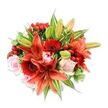 Seen against a clean white backdrop and photographed from slightly above, this lavish hand-tied bouquet reads like a warm Oxford morning in bloom. At its centre several large Asiatic lilies in a vivid orange-red hold the eye - some petals recurved and speckled with darker freckling, others still in tight, glossy buds that promise a second wave of colour. Nestled close are deep crimson Gerbera daisies whose radiating petals frame dark centers like miniature sunsets, while soft blush-pink roses-ranging from baby-furled buds to more open, velvety blooms-offer gentle contrast and a romantic softness. Little clusters of bright red hypericum berries catch the light like tiny jewels, their smooth, waxy skins giving a cheerful, festive punctuation amid the blooms. A generous mix of foliage fills and sculpts the bouquet: broad solid green leaves create a rich backdrop, slender pointed lily leaves add architectural lines, and a few variegated leaves with pale green-and-cream streaks lift the palette and add depth. The textures are tactile in description-the silky rose petals, papery lily blooms, glossy berries and crisp greens-and the composition forms a full, rounded silhouette that reveals skilled floristry and thoughtful placement. In low, natural light the colours read warm and intense, evoking an uplifting, celebratory mood ideal for birthdays or congratulations. If you imagine walking past the Oxford Covered Market with this bouquet, its colours would stop passersby and its faint spicy-sweet lily scent would invite a closer look, promising freshness and care in every stem.